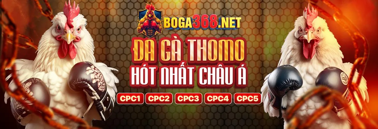 Đá gà Thomo999 khuyến mãi 2026